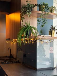 Aozora Central Studio - Christmas Decorated - 9