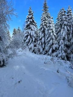 La Cure Vosgienne - 4