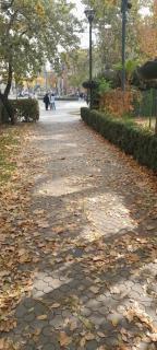 In the heart of Yerevan - 9