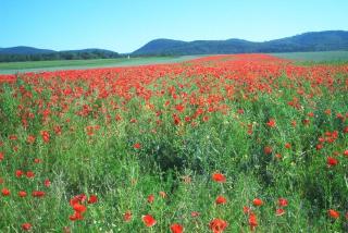 Fewo Stricker 32 - 9