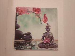 Gemütliches Ein-Zimmer-Appartment 5min zur Innenstadt - 6