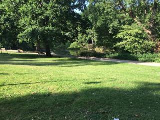 Gemütliches Ein-Zimmer-Appartment 5min zur Innenstadt - 5