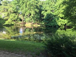 Gemütliches Ein-Zimmer-Appartment 5min zur Innenstadt - 1