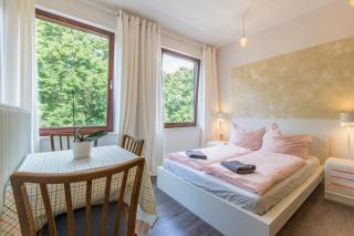 Gemütliches Ein-Zimmer-Appartment 5min zur Innenstadt - 0