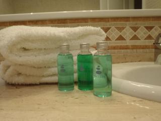 Luxuriöse Ferienwohnung Mit Sonnenterrasse - 4