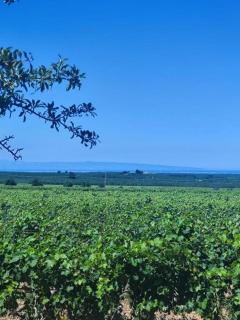 Country House Biobonizio - 5