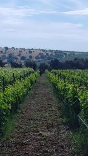 Country House Biobonizio - 3