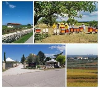 Country House Biobonizio - 2