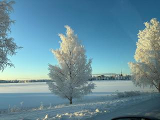 Scandic style apartment Katajaranta - 9