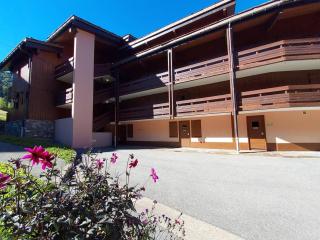 Studio cabine au pied des pistes avec animaux acceptés à Valmorel - FR-1-356-304 - 1