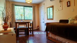 Horacio Mendoza City Apartment - 0