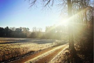 Romantikferienhaus am Schlösschen - Sauna, Kamin & Seenlandschaft nahe Berlin - 7