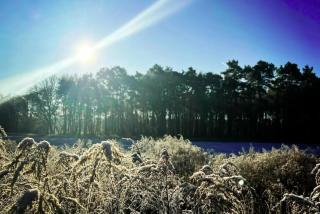 Romantikferienhaus am Schlösschen - Sauna, Kamin & Seenlandschaft nahe Berlin - 8