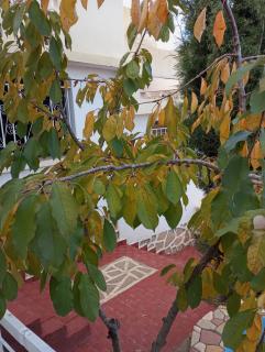 Boulemane guest house - 5