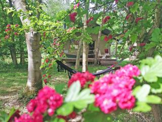 The Apple Bobber - Ukc7130 - 1