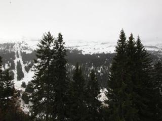 Studio lumineux avec balcon et vue sur pistes, animaux admis - FR-1-687-61 - 7