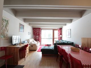 Grand appartement 9 pers, près des pistes, animaux admis - FR-1-687-86 - 4