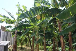 H & M Bayview Apartment Seychelles - 2