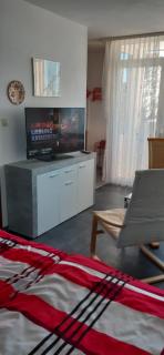 Fewo Therme inkl Handtücher und Bettwäsche - Altenau - 6