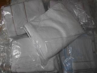 Haus Der Schmetterlinge In Syrakus - 4