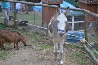Ferienwohnung Mit Zwei Schlafzimmern Und Balkon - 4