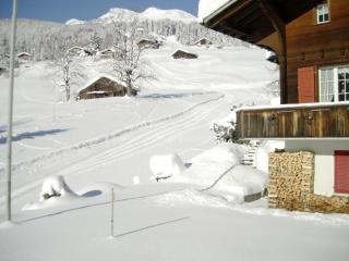 Chalet Mislin, Grindelwald direkte Bergsicht - b48642 - 8