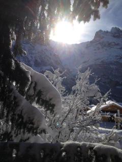 Chalet Mislin, Grindelwald direkte Bergsicht - b48642 - 5