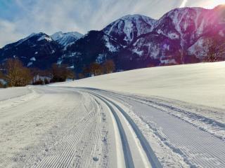 Das Goldjuwel - Luxury Apartments with private Spa - 6