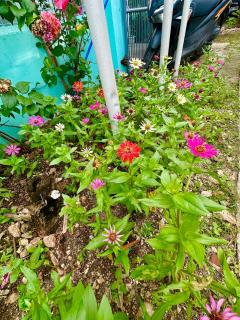 Cozy Home by Sol - 1