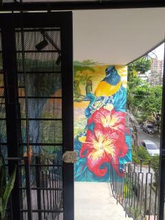 Ceiba, Yarumo, y Cedro - 9