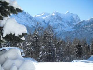 Ferienwohnung Nägeliplatten - b48644 - 3