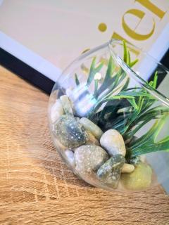 L'Evasion Beauvaisienne - Centre Ville - Wifi 6 - 2