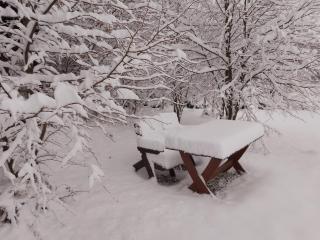 ORLIK - pokoje gościnne - 7