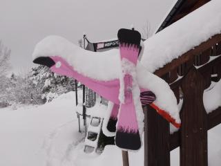 ORLIK - pokoje gościnne - 6