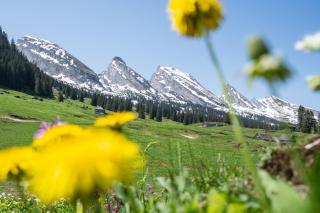 Louisa's Gallery - Stilvolles ruhiges Alpine Apartment mit Whirlpool & Bergblick - Wandern & Ski - Swiss Alps - 1