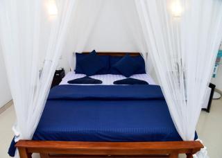 New Red Rose Ella - 0