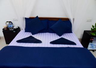 New Red Rose Ella - 7