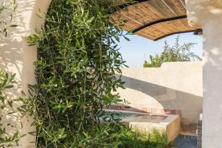 בקתה וטבילה במדבר - 5