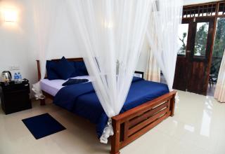 New Red Rose Ella - 1