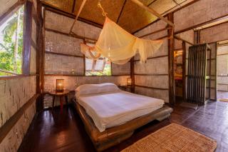 The Forest Elephant - Formerly known as the Flying Elephant - Havelock Island - 7