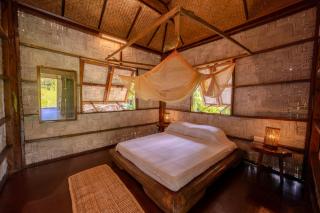 The Forest Elephant - Formerly known as the Flying Elephant - Havelock Island - 6