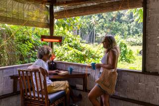 The Forest Elephant - Formerly known as the Flying Elephant - Havelock Island - 2