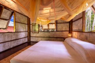 The Forest Elephant - Formerly known as the Flying Elephant - Havelock Island - 3