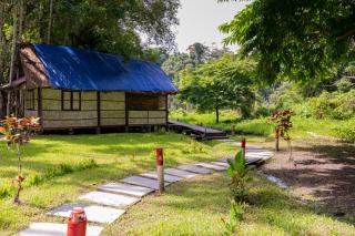 The Forest Elephant - Formerly known as the Flying Elephant - Havelock Island - 0