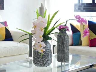 Villa Olga Premium - 3