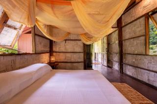 The Forest Elephant - Formerly known as the Flying Elephant - Havelock Island - 5