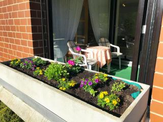 Komfortfewo Für 2 Personen Mit Wintergarten - 2