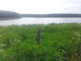 Fewo Auersberg Wgh - Eibenstock - 2