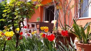 Al Colombajo - Intragna - 3