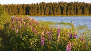 Fewo Am Skihang Eg - 3